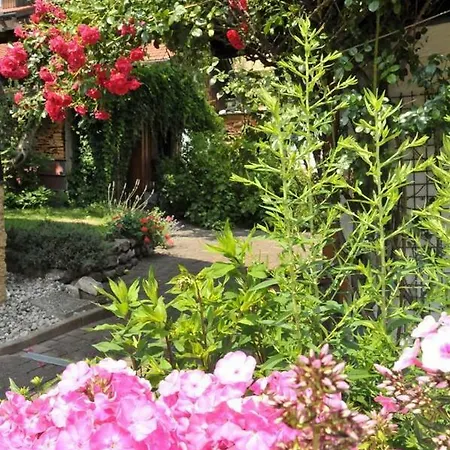 Schneider Appartement Bad Hindelang