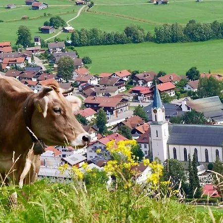 Schneider